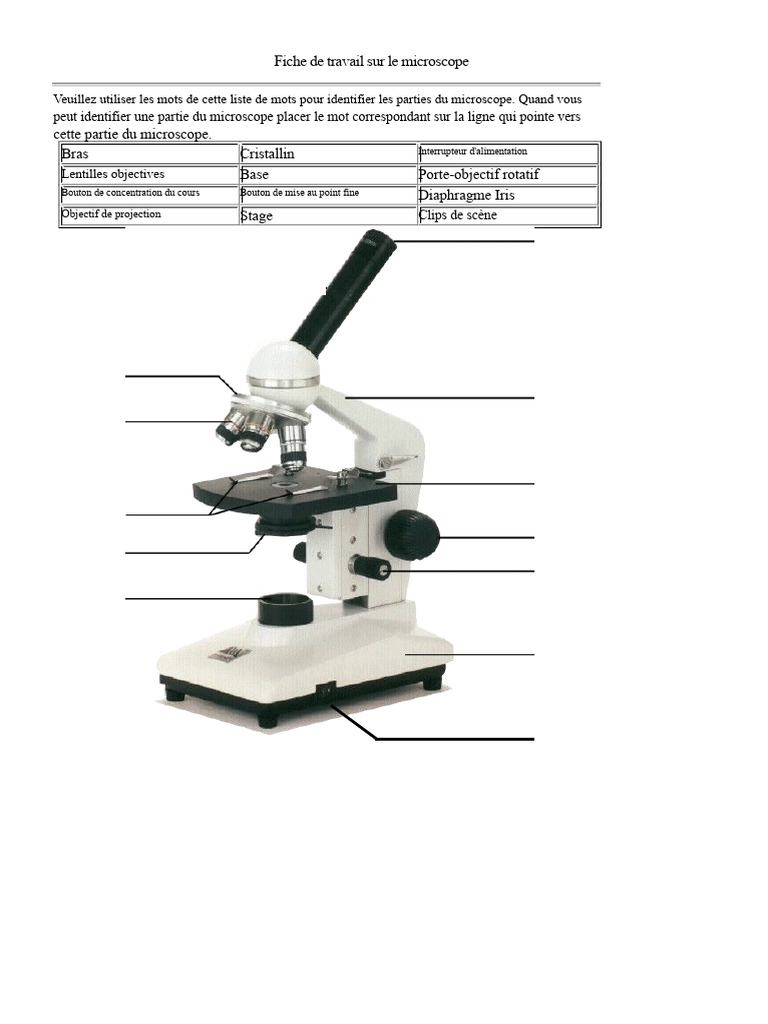 Parties du microscope expliquées | PDF