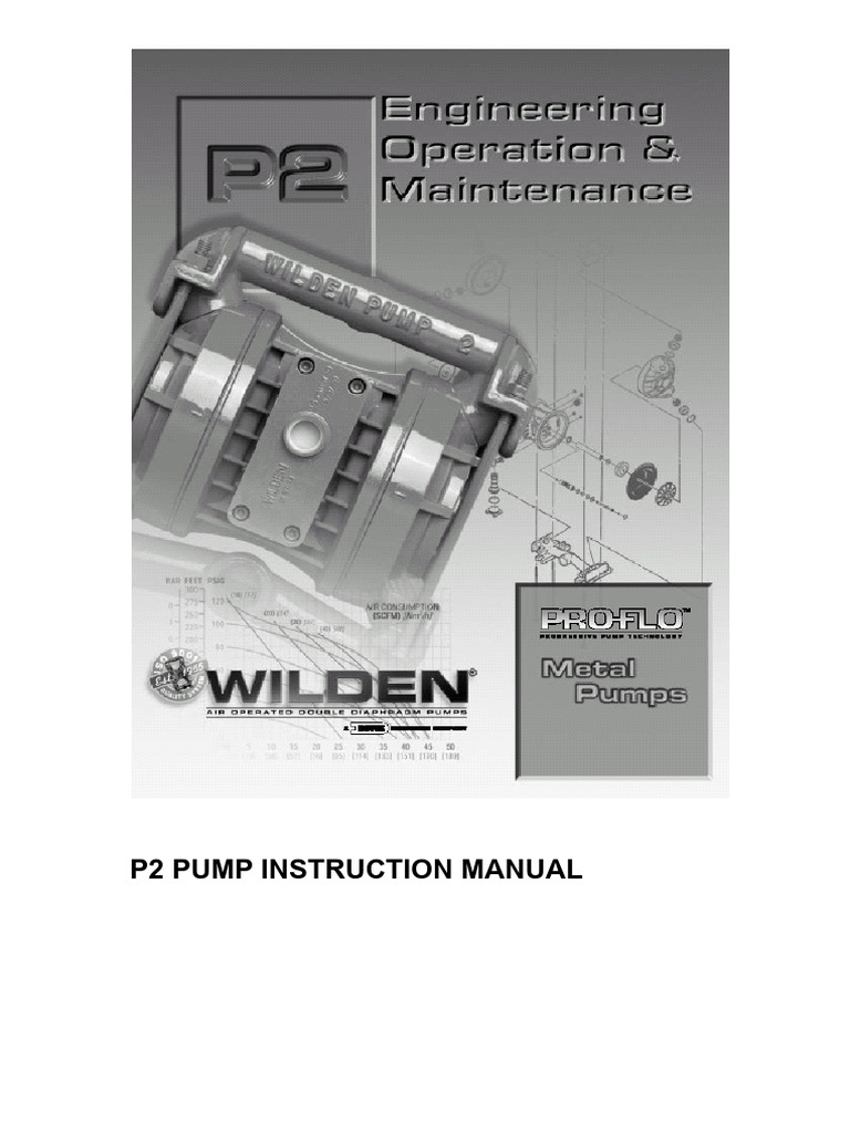 P2 Pump Instruction Manual Guide | PDF | Pump | Valve