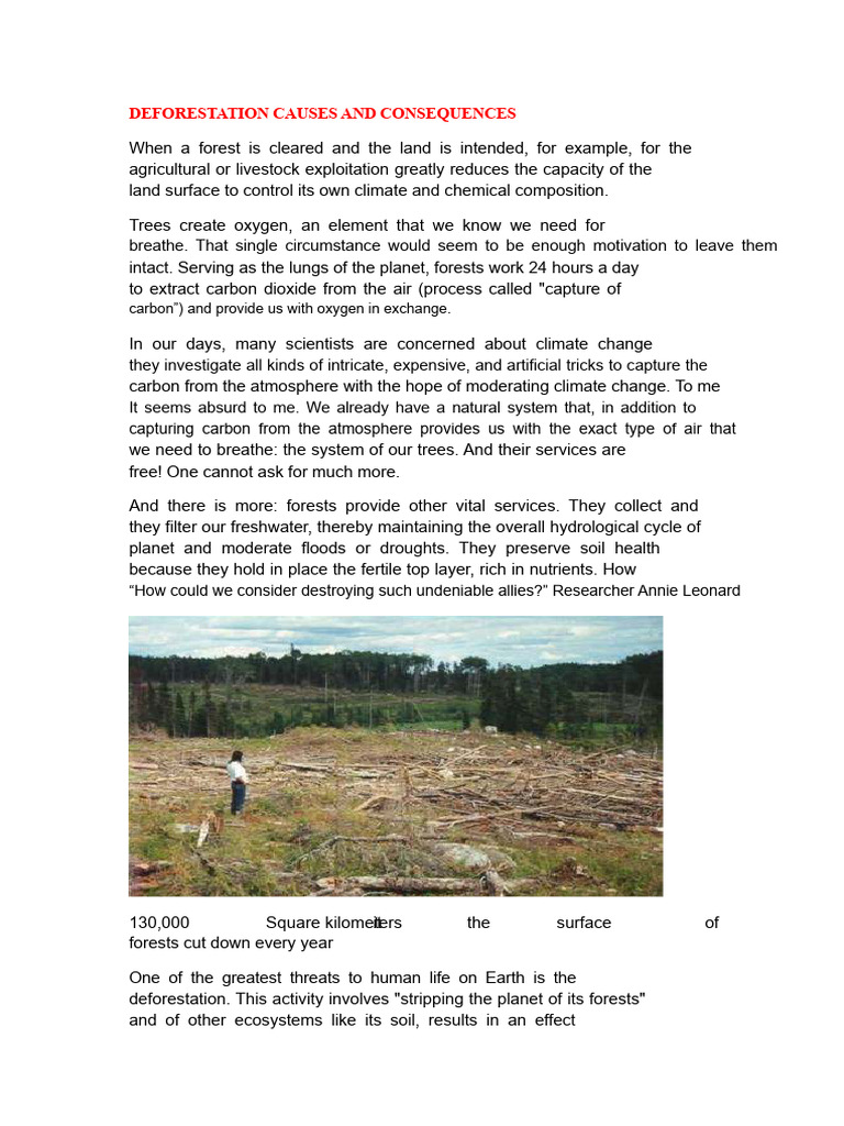 Deforestation: Causes and Effects Explained | PDF | Deforestation | Forests