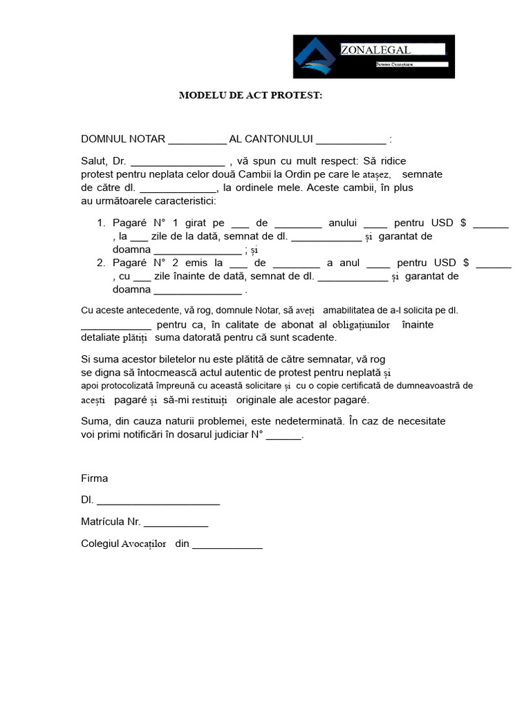 Model de Protest | PDF
