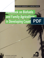Handbook Energizing: Manual Sobre Biocombustíveis e Agricultura Familiar Nos Países em Desenvolvimento
