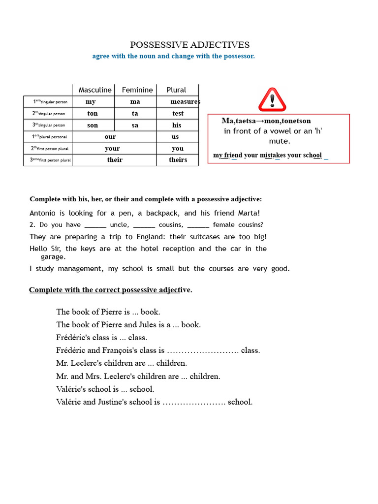 Understanding Possessive Adjectives | PDF | Grammatical Gender | Plural