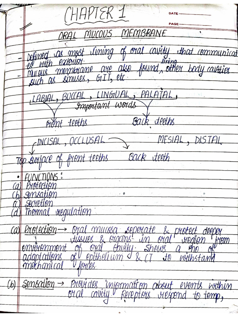Manjul Sir Notes 2 | PDF