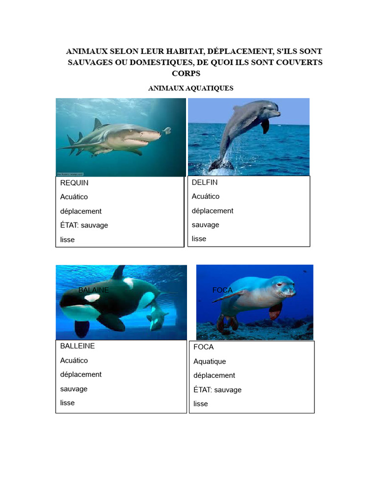 Classification des animaux par habitat et état | PDF | Zoologie | Biologie