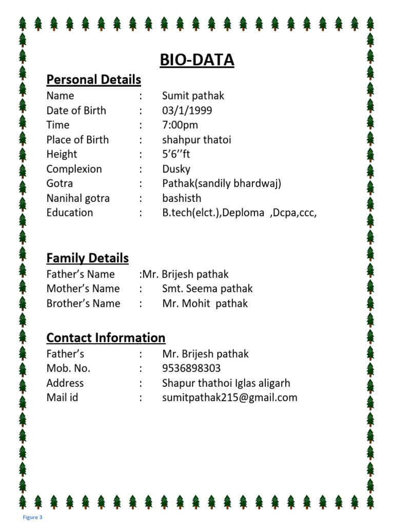 Sumit Pathak's Detailed Bio-Data | PDF