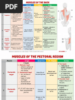Chest Muscles Anatomy Chart | PDF