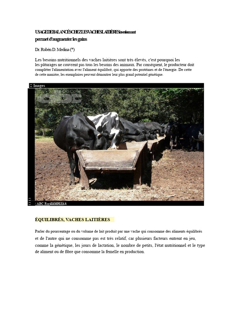 Alimentation équilibrée des vaches laitières | PDF | Lait | Bovins ...