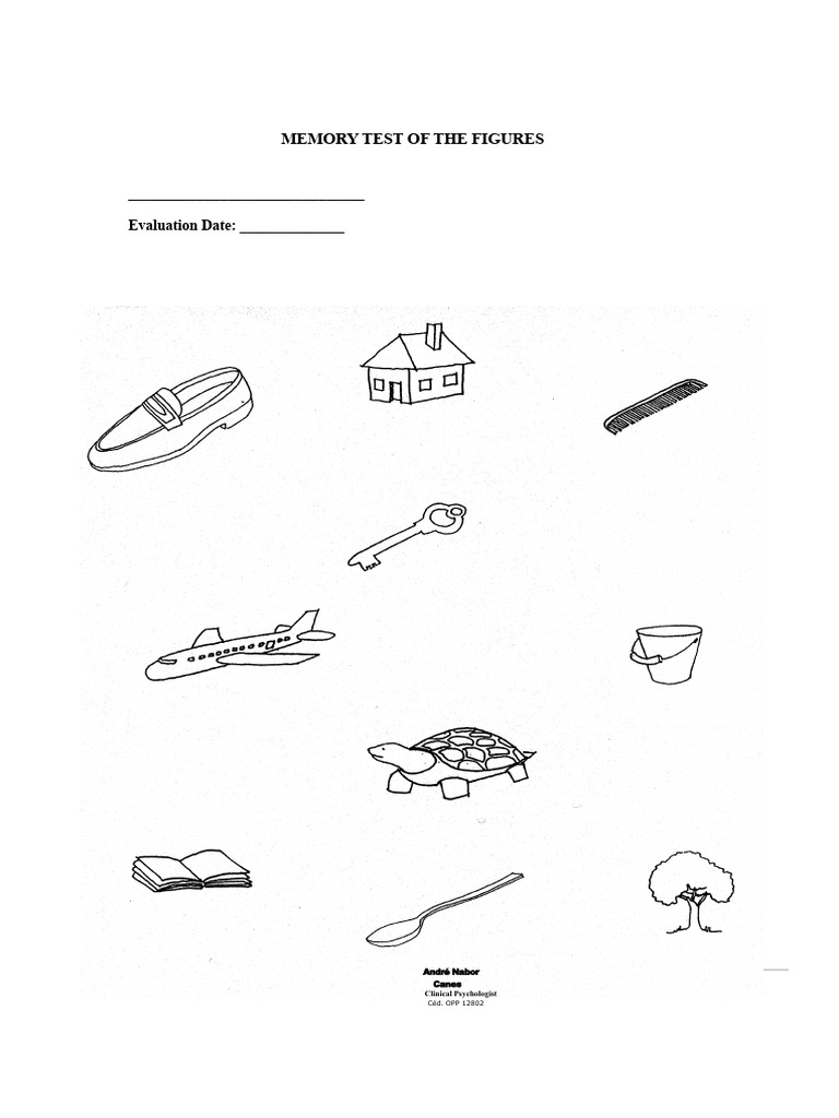 Memory Test of Figures TMF | PDF