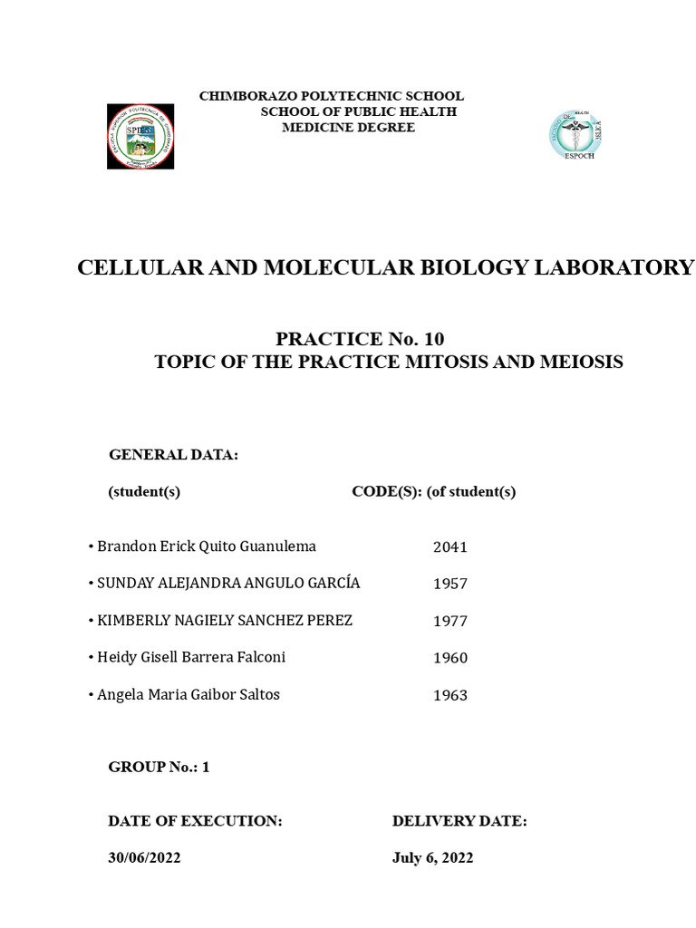 Laboratory Practice Report On Mitosis and Meiosis | PDF | Mitosis | Meiosis