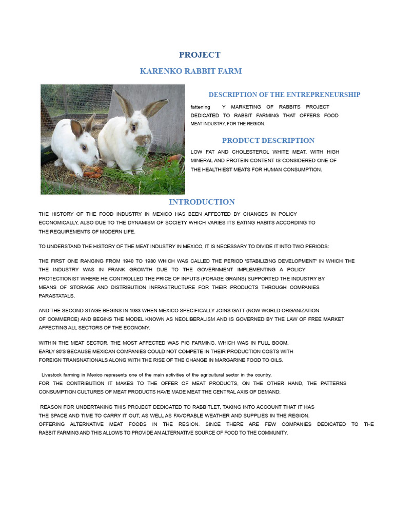 Rabbit Farming Project Overview | PDF | Meat