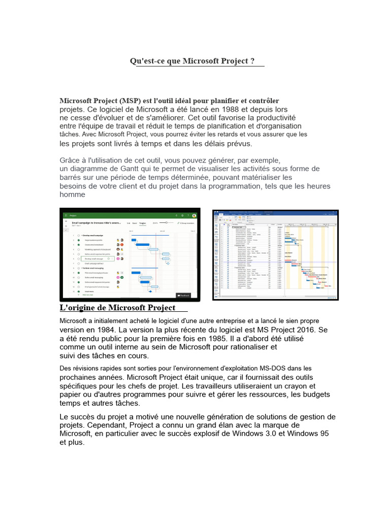 Introduction à Microsoft Project et ses fonctions | PDF | Gestion de ...