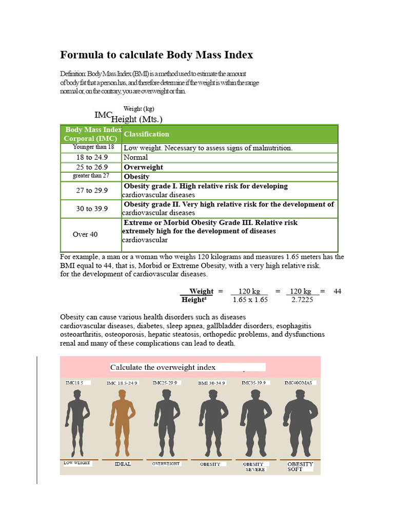 Body Mass Index (BMI) Calculation Guide | PDF | Obesity | Body Mass Index