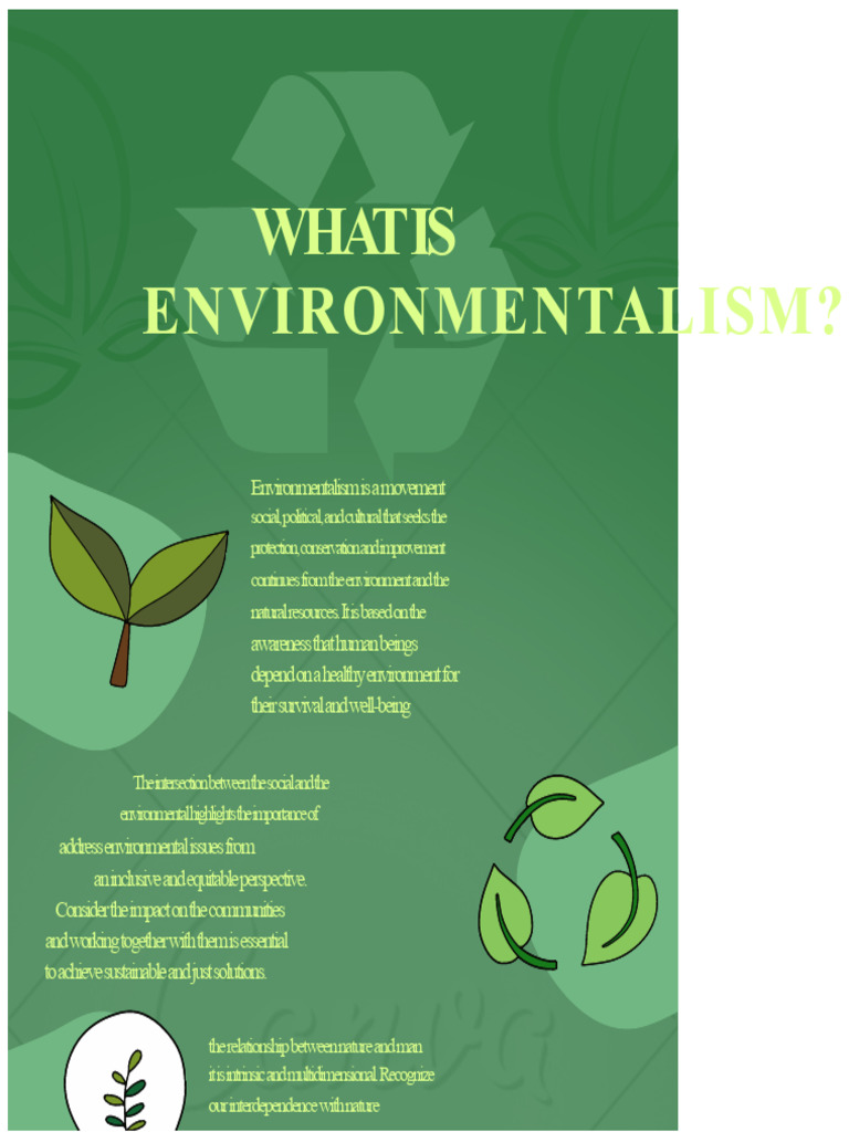 Understanding Environmentalism | PDF
