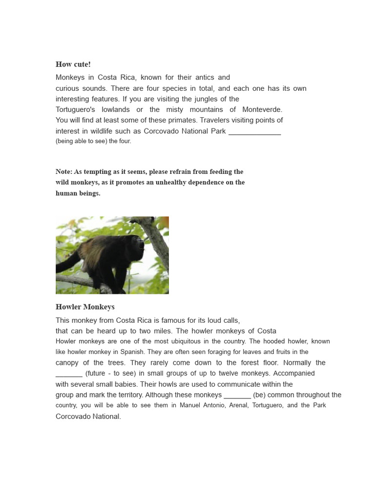 What A Monkey | PDF | Monkey | Zoology