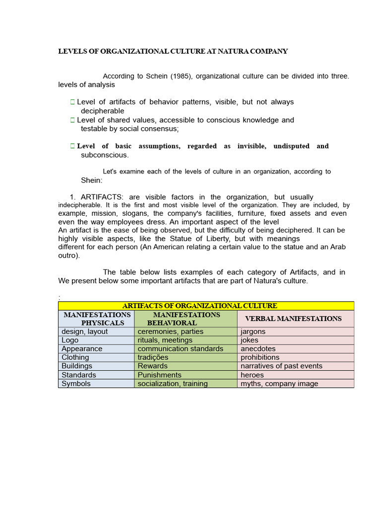 Understanding Natura's Organizational Culture | PDF | Organizational ...