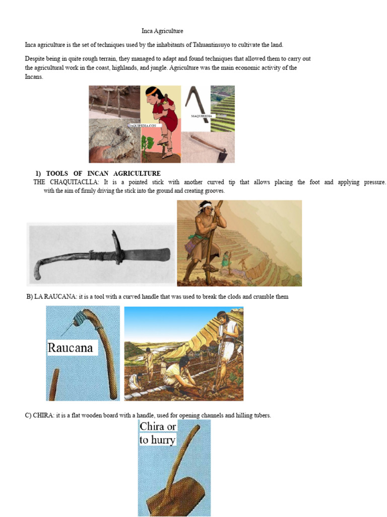 Inca Agriculture Techniques and Tools | PDF | Agriculture | Agronomy