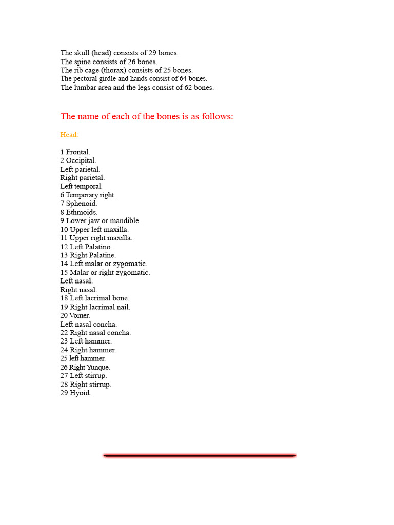 Human Skeletal System: Bone Count & Names | PDF | Vertebra | Thorax ...
