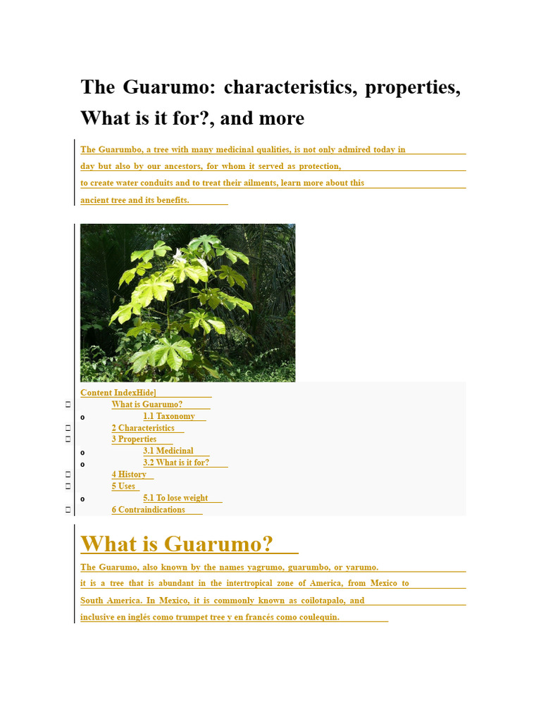 The Guarumo | PDF | Trees | Diabetes