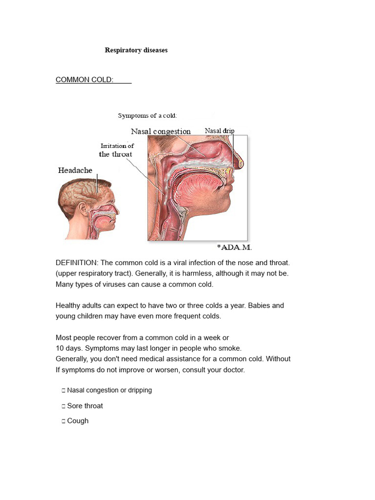 Understanding Common Respiratory Diseases | PDF | Bronchitis | Common Cold
