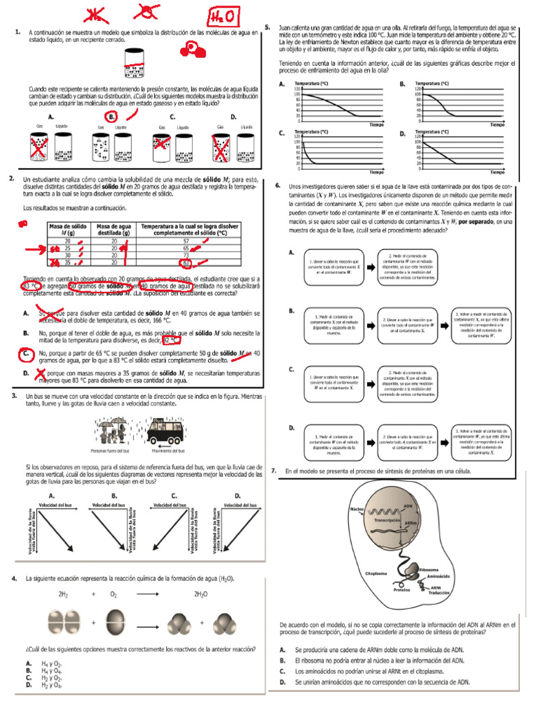 Simulacro 4 | PDF