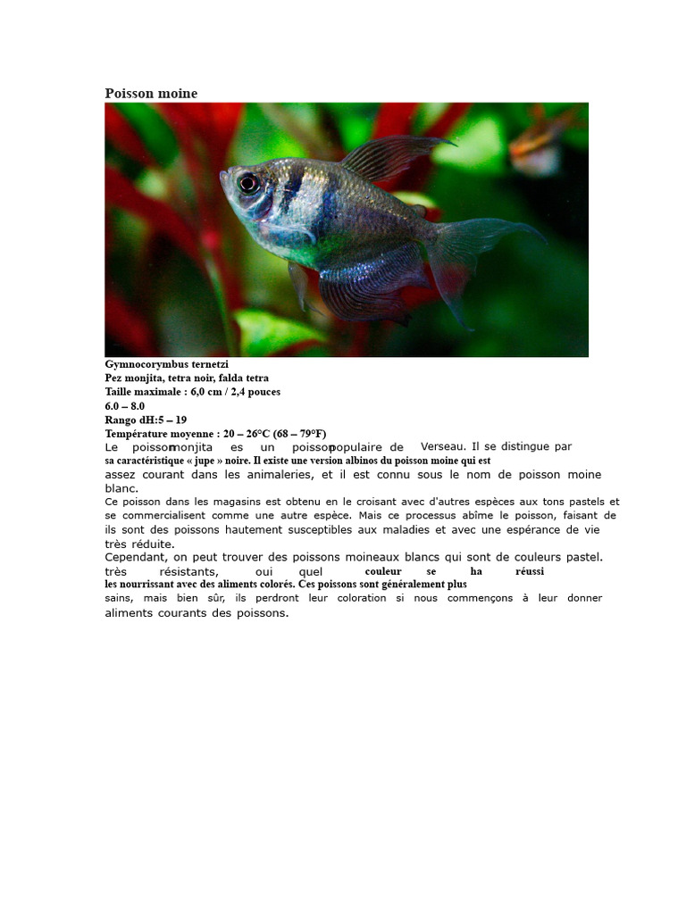 Poisson Moine | PDF | Poisson | Aquarium