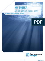 Bornemann Subsea Brochure