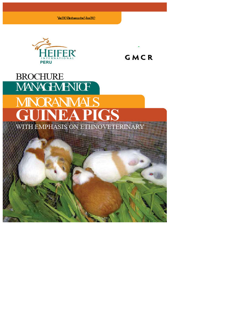 Picture of Brochure On The Management of Small Animals Guinea Pigs With Emphasis ...