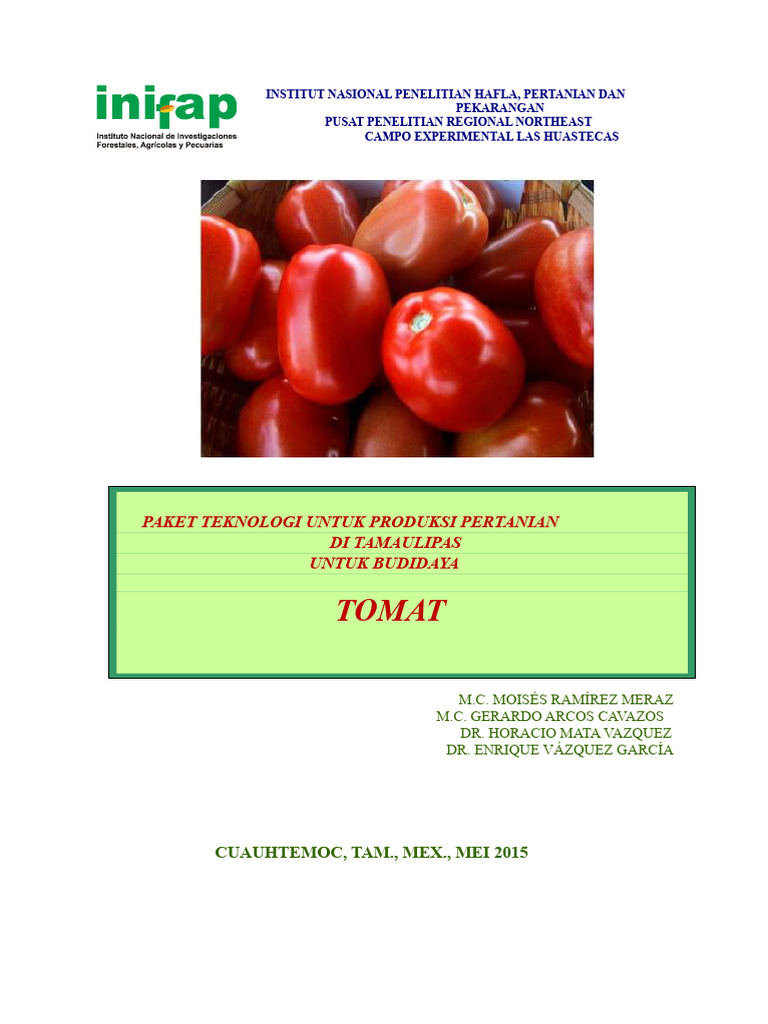 Teknologi Produksi Tomat Tamaulipas | PDF