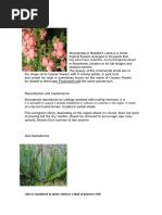 Botanical Latin Terms Cheat Sheet | PDF