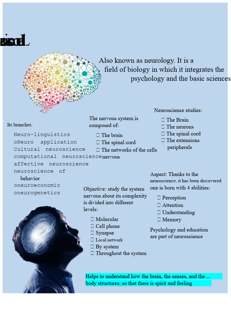 Understanding Neuroscience Basics | PDF
