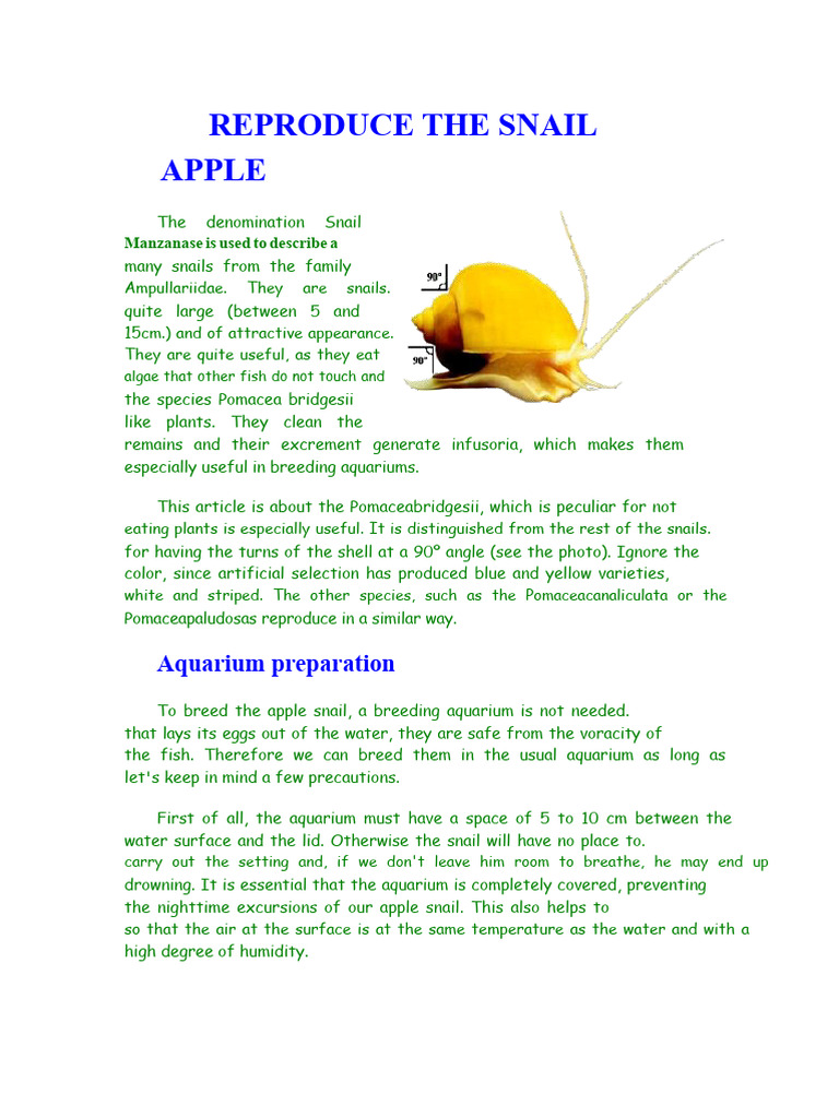 Reproducing The Apple Snail PDF | PDF | Aquarium | Water