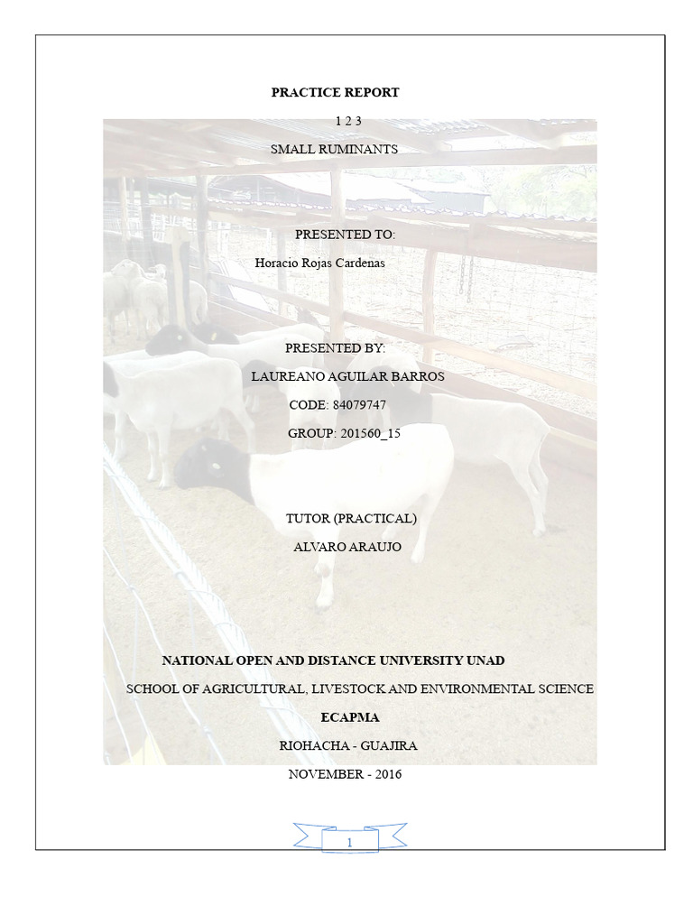 Small Ruminant Farming Practices Report | PDF | Reproductive System | Sheep