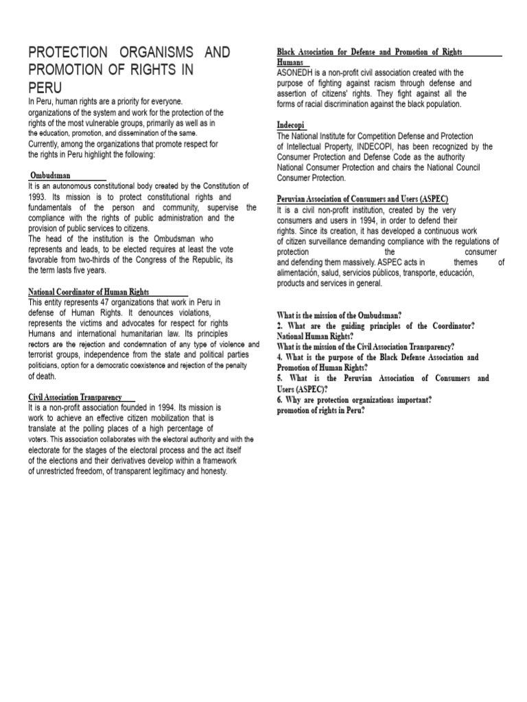 Protection and Promotion Organizations of Rights in Peru | PDF | Human ...