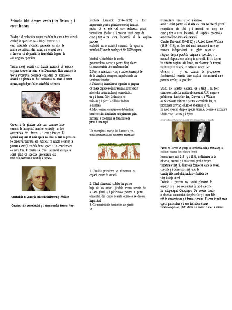 Triptic Odt1 | PDF