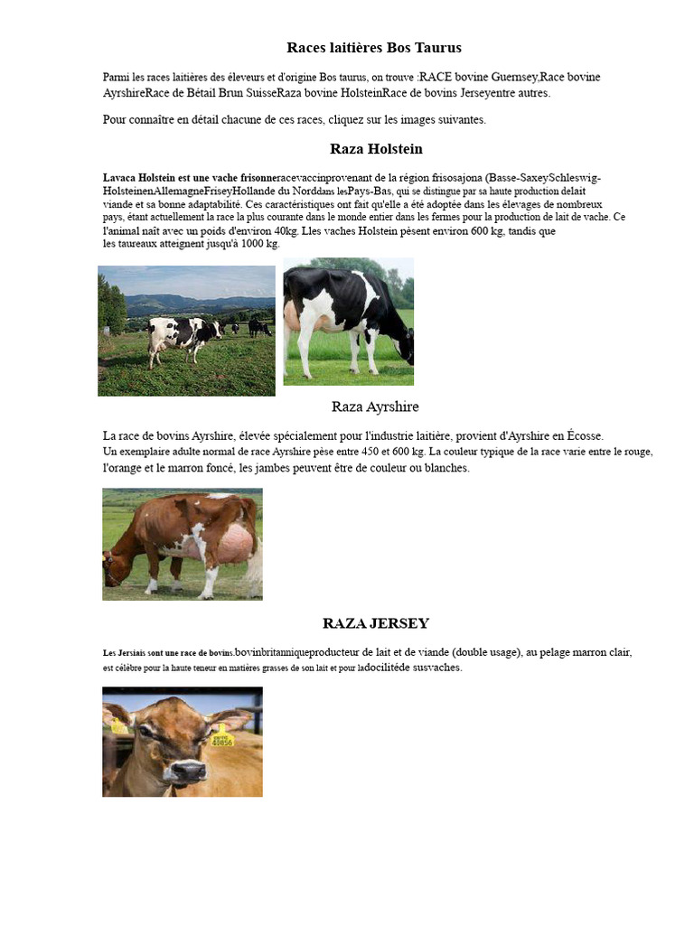 Races de vaches laitières africaines | PDF | Bovins domestiques | Races ...