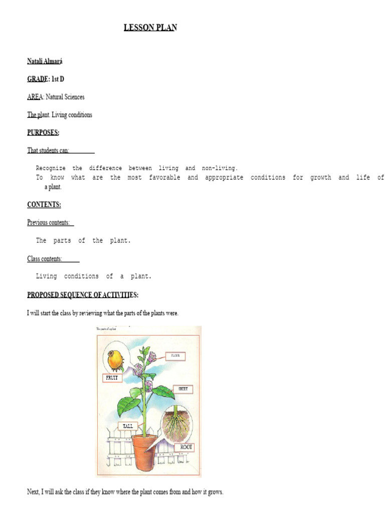 Plant Growth Lesson Plan for 1st Grade | PDF | Seed | Plants