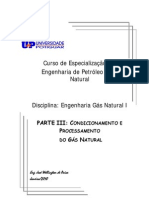 Apostila Engenharia Gas Natural I - Parte III - UNP