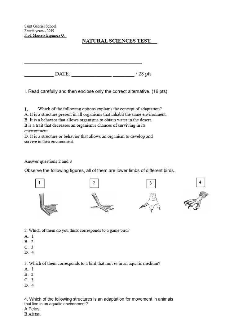 Adaptations Test 2019 | PDF | Birds | Adaptation