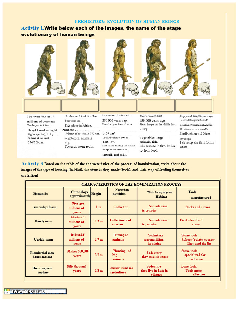 Prehistory File | PDF | Homo | Human Evolution