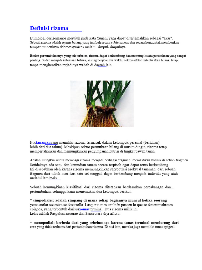 Definisi Rizoma | PDF