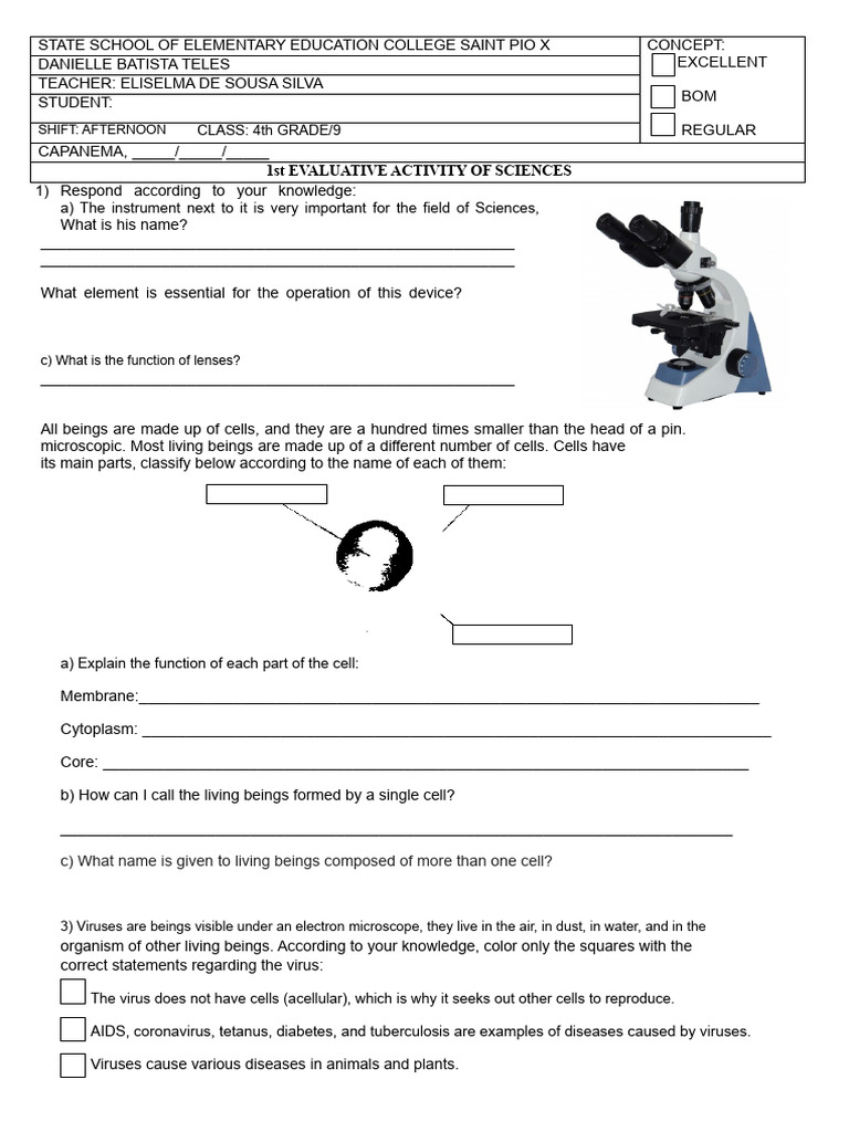 4th Grade Science Evaluative Activity | PDF | Bacteria | Virus