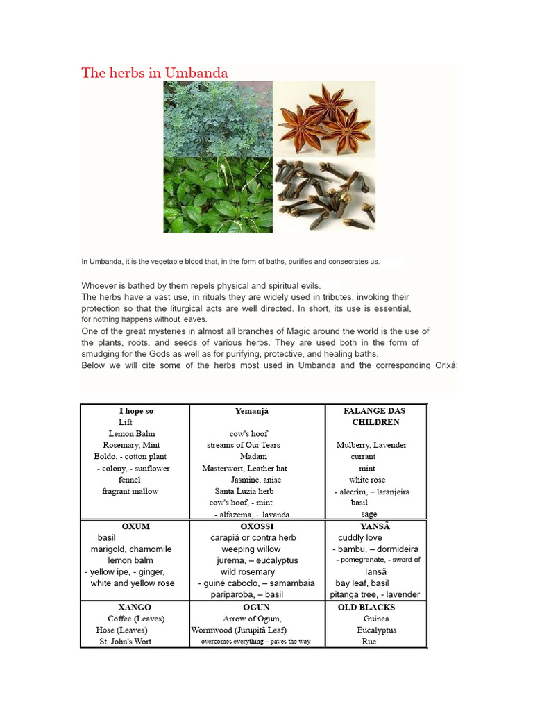 ritual use of tobacco in umbanda Native THE TOBACCO ORACLE: Cigar Divination,