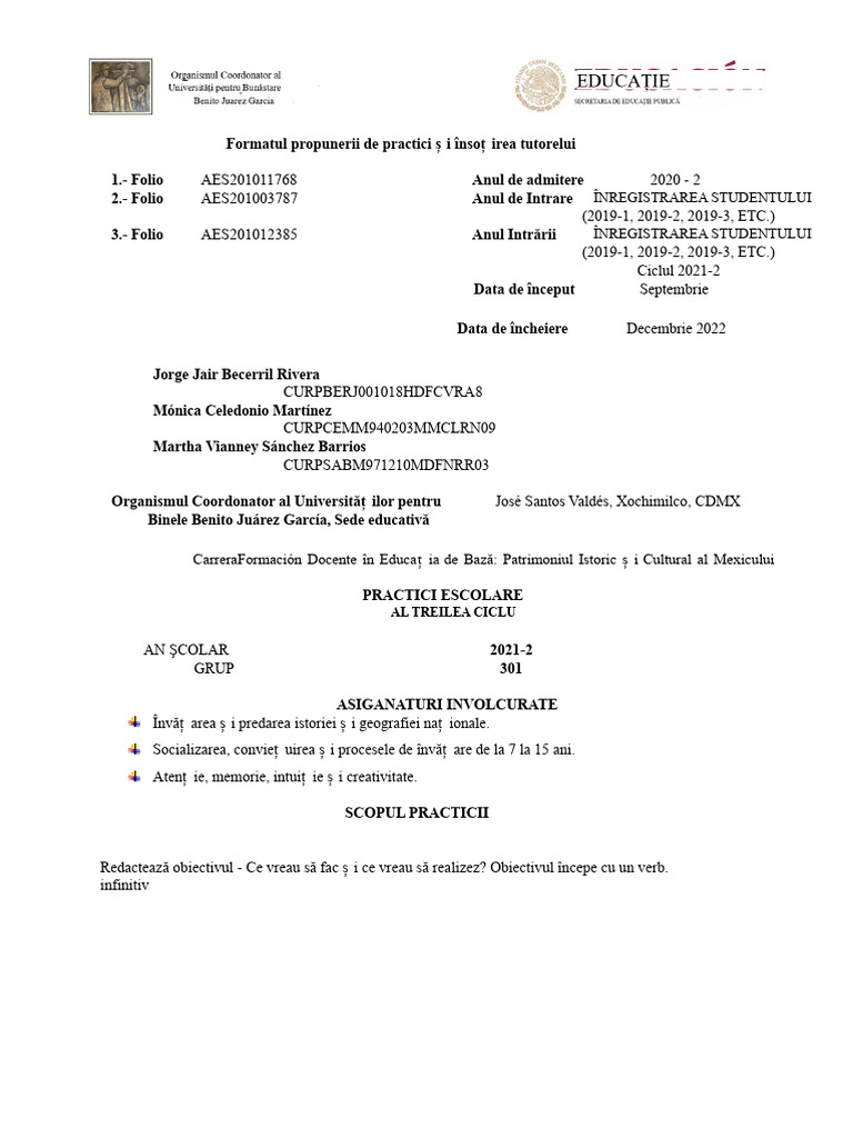 Format de Practici Școlare | PDF