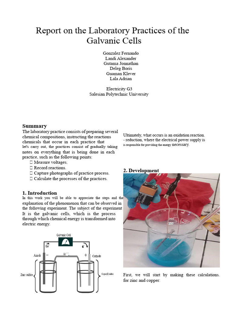 Report On 2 Galvanic Cells | PDF | Redox | Electricity