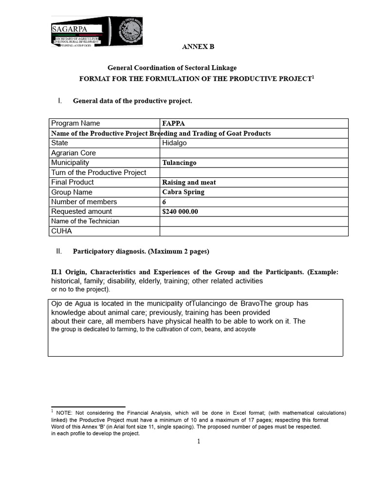 ANNEX B. Cabras Project | PDF | Net Present Value | Depreciation