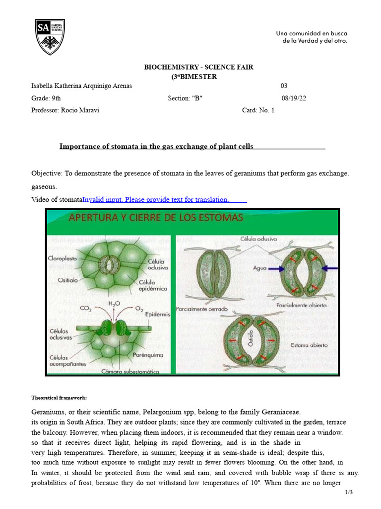 Role of Stomata in Plant Gas Exchange | PDF | Photosynthesis | Stoma