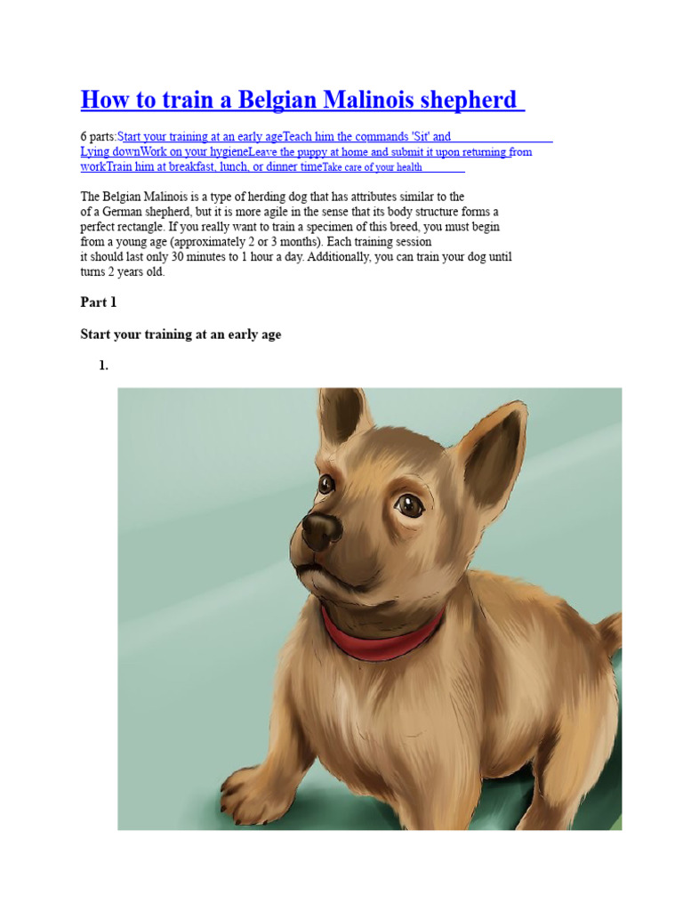 Training Guide for Belgian Malinois | PDF | Dogs | Lunch