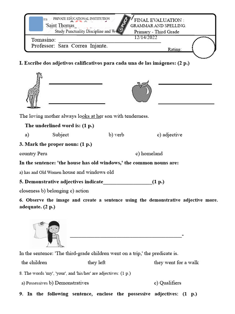Model Exam - Primary | PDF | Adjective | Noun