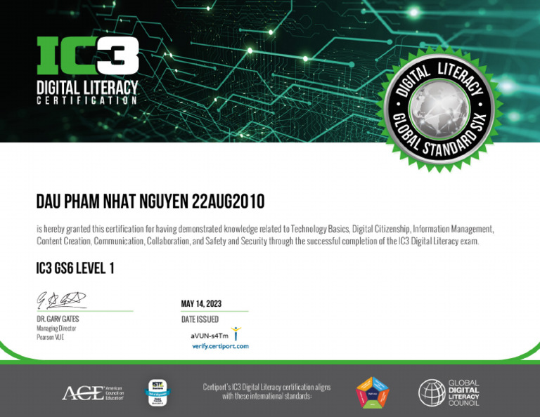 Level 1 | PDF
