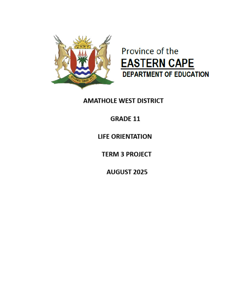 Grade 11 Life Orientation Project: Risky Behavior | PDF | Adolescence ...